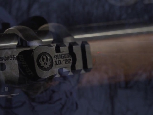 RUGER 10/22 LASER SIGHT        - image 9 from the video